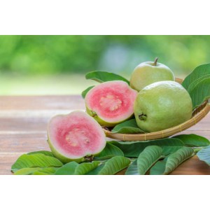 Guava