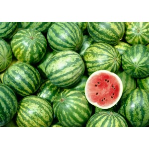 WaterMelon